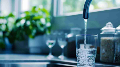 Why Water Quality Is a Key Part of a Healthy Home Setup